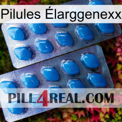 Pilules Élarggenexx viagra2